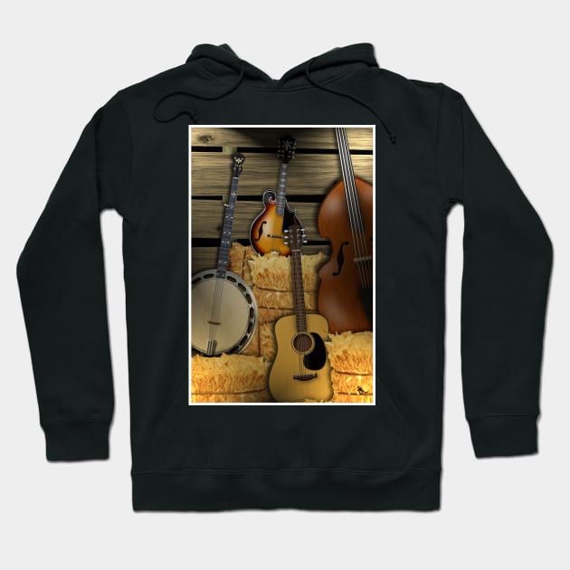 Bluegrass Instruments Hoodie by oldrockerdudes